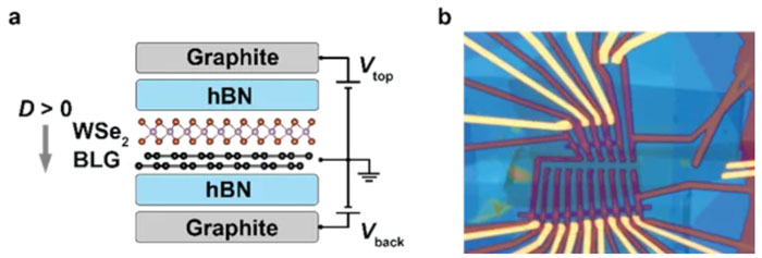 石墨烯超導重大發現，上海交通大學研究登 Nature